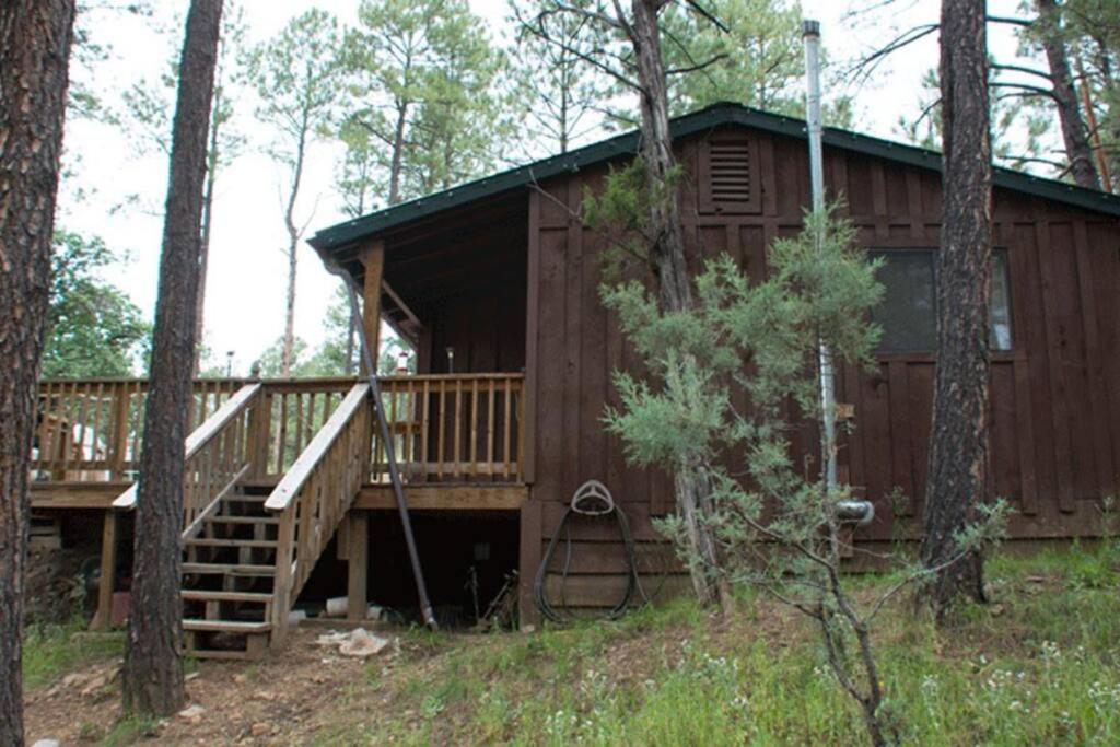 Beary Comfy Cabin Ruidoso Esterno foto